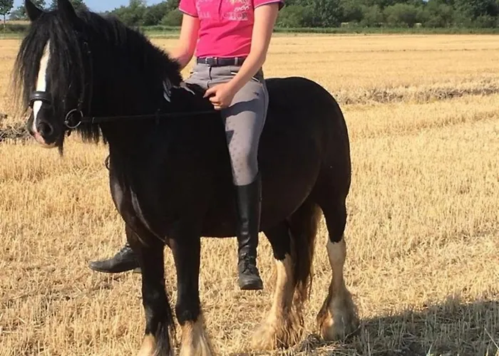 Haus Im Apfelgarten 3 Casa de Férias Fehmarn