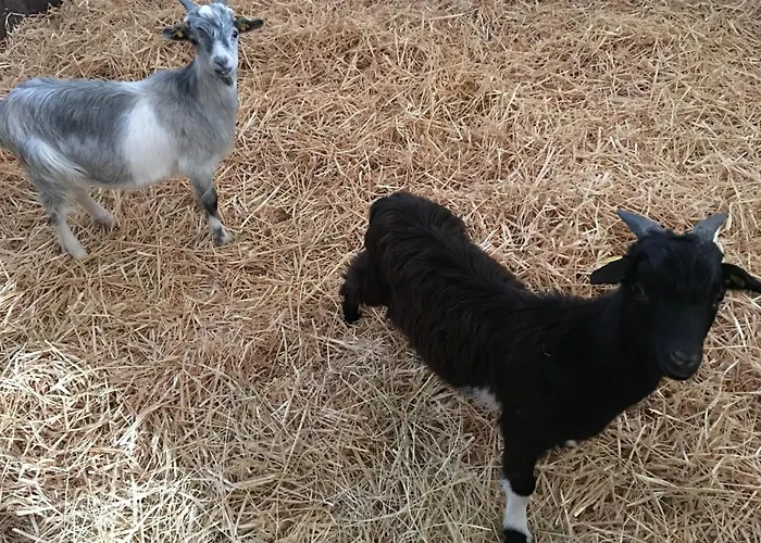 Haus Im Apfelgarten 3